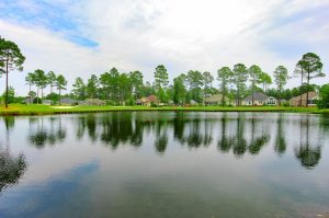 Brunswick Plantation