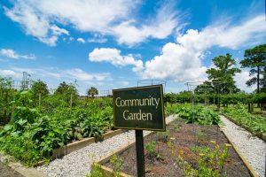 Ocean Ridge Plantation