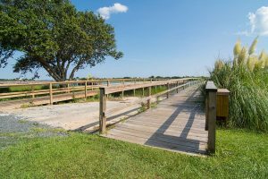 Bent Tree Plantation