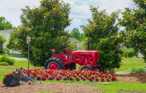 The Farm